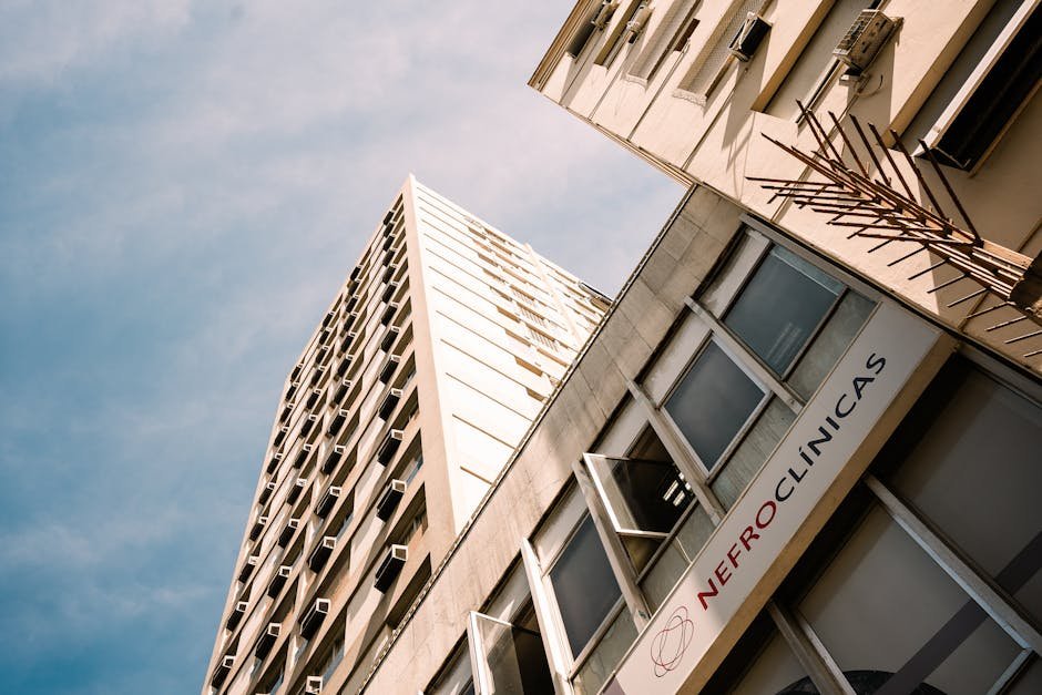 Novo artigo publicado